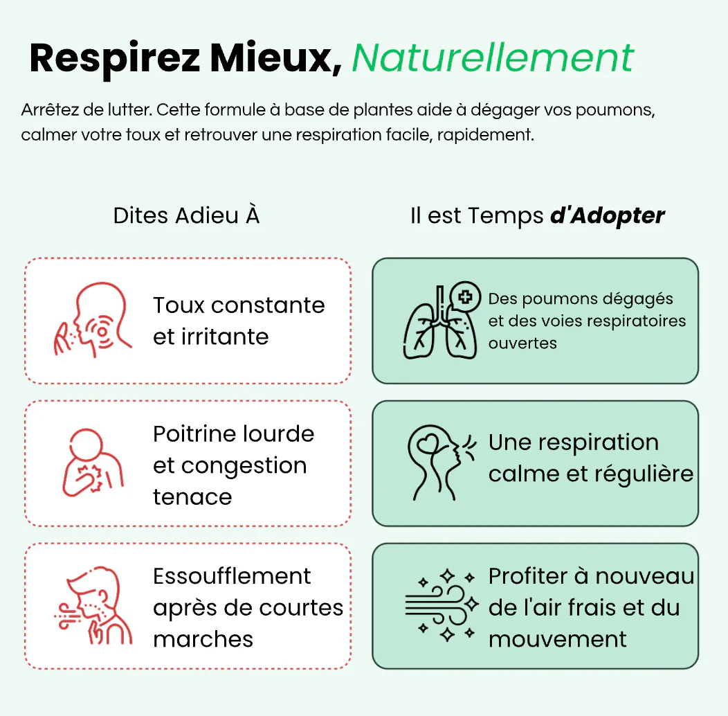 Molène : purifiez vos poumons et respirez facilement